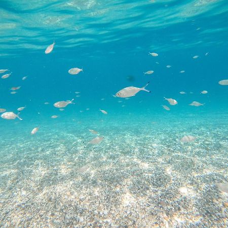 Complejo Turistico Los Bayiyos อากัวอามาร์กา ภายนอก รูปภาพ